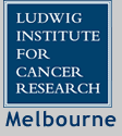 Ludwig Logo Melbourne